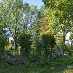 Skujenes pilskalns un Skujenes viduslaiku pilsdrupas Skujenes pilskalns un Skujenes viduslaiku pilsdrupas