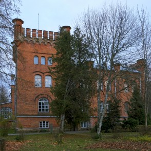 Puikules muižas pils Puikules muižas pils