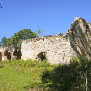 Liepas muižas saimniecības ēkas drupas Liepas muižas saimniecības ēkas drupas