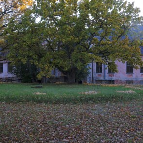 Īles muižas pils Īles muižas pils