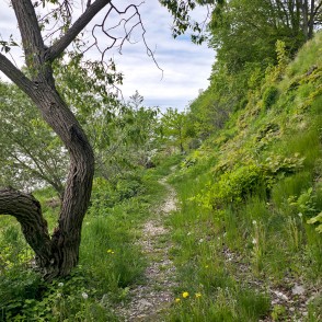 Walking path along the steep slope in Doles sala nature park Walking path along the steep slope in Doles sala nature park