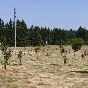 Jūrkalnes dabas un atpūtas parks Jūrkalnes dabas un atpūtas parks