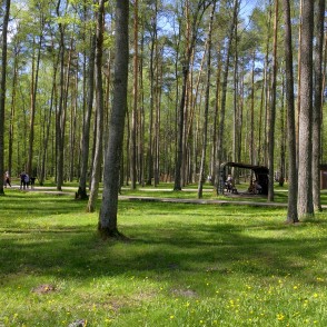 Olaines Mežaparka ainava Olaines Mežaparka ainava
