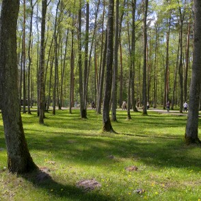 Olaines Mežaparks Olaines Mežaparks