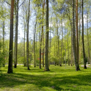 Olaines Mežaparks Olaines Mežaparks
