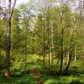 Ugāles pilskalns Ugāles pilskalns