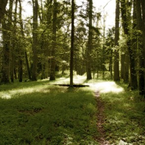 Baronu fon Bēru kapi Baronu fon Bēru kapi