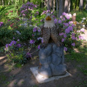 Koka skulptūras Priekuļu Saules parkā Koka skulptūras Priekuļu Saules parkā