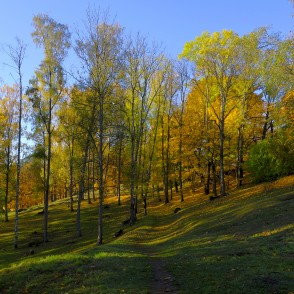 Laulības gravas ainava Madonā Laulības gravas ainava Madonā