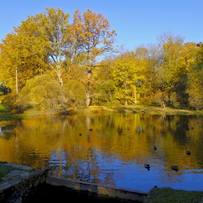 Laulības gravas dīķis Madonā Laulības gravas dīķis Madonā