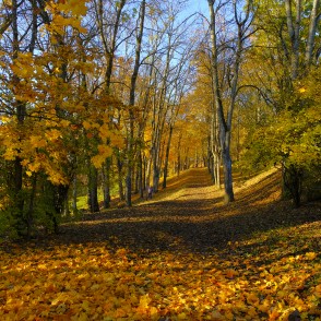 Laulības gravas ainava Madonā Laulības gravas ainava Madonā