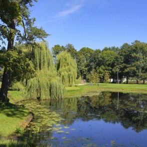 Arkadija Park pond with willow trees and reflections in a calm summer landscape Arkadija Park pond with willow trees and reflections in a calm summer landscape