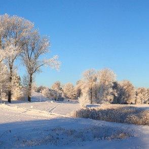 Talsu ziemas ainava Talsu ziemas ainava