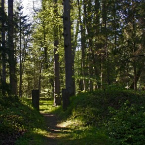 Baronu fon Bēru kapi Baronu fon Bēru kapi