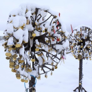 Apsniguši Mīlestības koki Pasta salā Apsniguši Mīlestības koki Pasta salā
