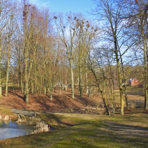 Zaļās (Zaļenieku) muižas parks pavasarī Zaļās (Zaļenieku) muižas parks pavasarī