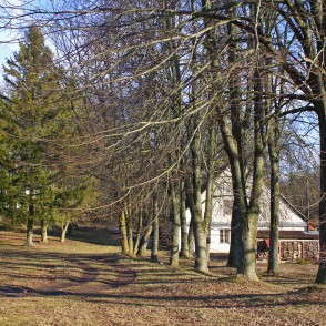 Zaļās (Zaļenieku) muižas parks pavasarī Zaļās (Zaļenieku) muižas parks pavasarī