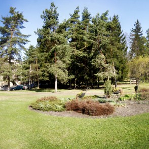 Skats uz Ogres "Ziliem kalniem" Skats uz Ogres "Ziliem kalniem"