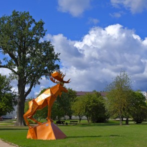 Jelgavas simbols - alnis Jelgavas simbols - alnis