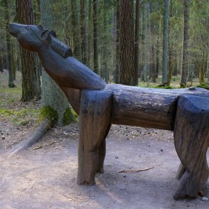 Zirgs Pasaku mežā Zirgs Pasaku mežā