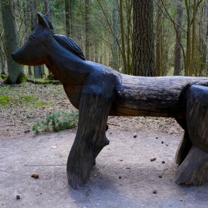 Pasaku meža zirgs Pasaku meža zirgs