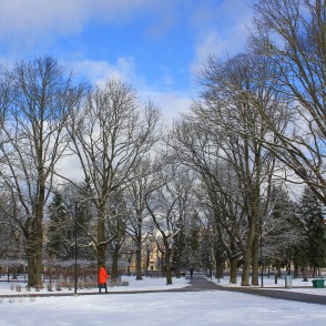 Ziedoņdārzs martā, Rīga Ziedoņdārzs martā, Rīga