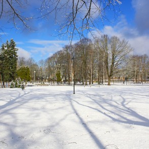 Ziedoņdārzs martā Ziedoņdārzs martā