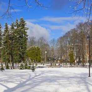 Ziedoņdārzs ziemas dienā Ziedoņdārzs ziemas dienā