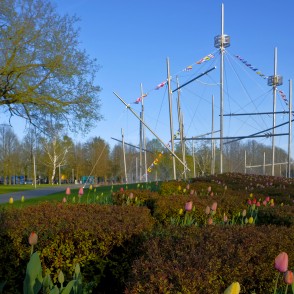 Dekoratīvi apstādījumi Ventspils Lielajā laukumā Dekoratīvi apstādījumi Ventspils Lielajā laukumā