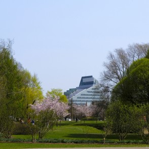 Uzvaras parks, ziedošas sakuras un Latvijas Nacionālā bibliotēka Uzvaras parks, ziedošas sakuras un Latvijas Nacionālā bibliotēka