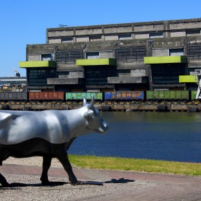 Jūras govs (Ieva Maurīte) Jūras govs (Ieva Maurīte)