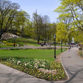 Kanālmalas apstādījumi pie Bastejkalna pavasarī Kanālmalas apstādījumi pie Bastejkalna pavasarī