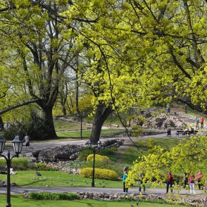 Bastejkalns un ziedošas kļavas Bastejkalns un ziedošas kļavas