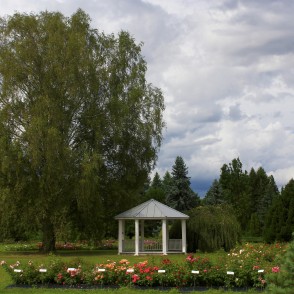 Rose Gazebo in the National Botanic Garden Rose Gazebo in the National Botanic Garden