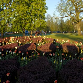 Dekoratīvie apstādījumi Ventspils Lielajā laukumā Dekoratīvie apstādījumi Ventspils Lielajā laukumā