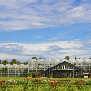 Conservatory in the National Botanic Garden Conservatory in the National Botanic Garden