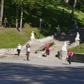 Kāpnes Cēsu Pils parkā Kāpnes Cēsu Pils parkā