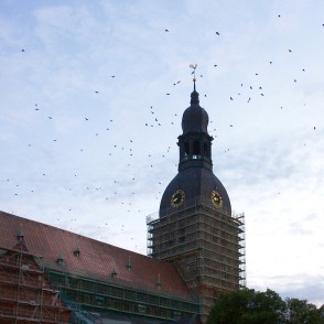 Doma baznīca Doma baznīca