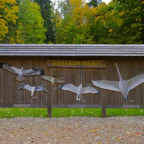 Info stends par Alūksnes ezera putniem Info stends par Alūksnes ezera putniem