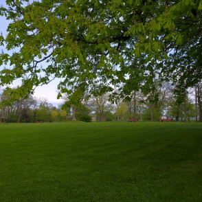 Reņķa dārza pavasara ainava Reņķa dārza pavasara ainava