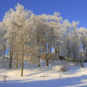 Kandavas Bruņinieku pilskalns ziemā Kandavas Bruņinieku pilskalns ziemā