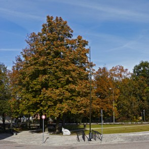 Skvērs pie kultūras nama Kuldīgā Skvērs pie kultūras nama Kuldīgā