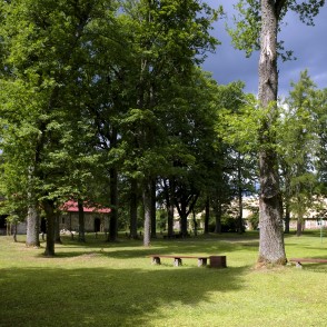 Asares muižas parks Asares muižas parks