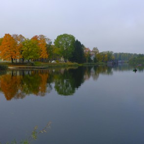 Koku atspulgs Alūksnes ezerā Koku atspulgs Alūksnes ezerā