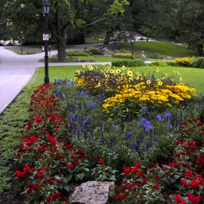 Bastejkalns Bastejkalns