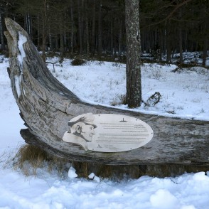 Vides objekts un piemineklis kapteinim Visvaldim Feldmanim Kolkasragā Vides objekts un piemineklis kapteinim Visvaldim Feldmanim Kolkasragā