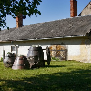 Akmens alus kausi Cēsīs Akmens alus kausi Cēsīs