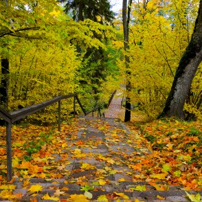 Cesvaine Palace Park in Autumn Cesvaine Palace Park in Autumn