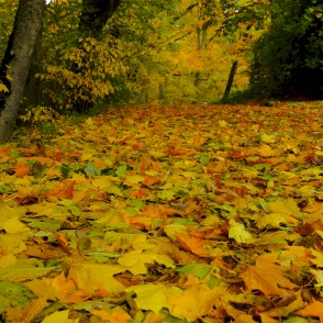 Cesvaine Palace Park in Autumn Cesvaine Palace Park in Autumn