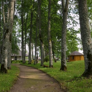 Vīgantes parka ainava Vīgantes parka ainava